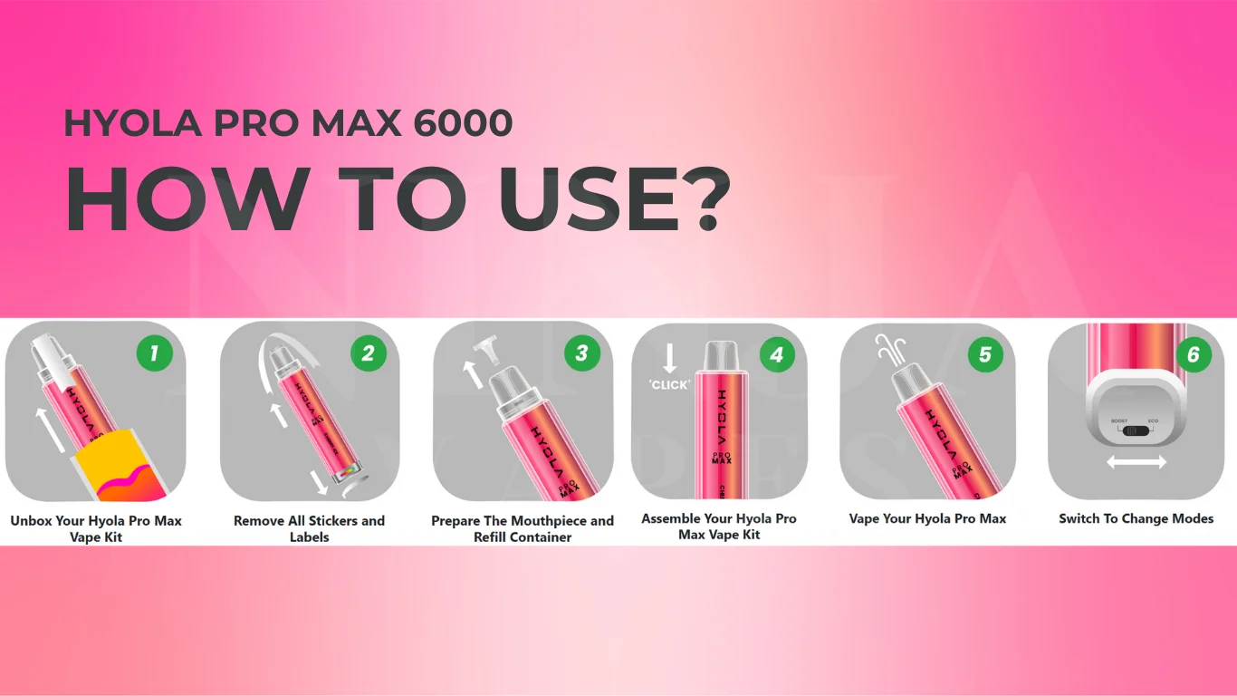 How to Set Up HYOLA Pro Max 6000