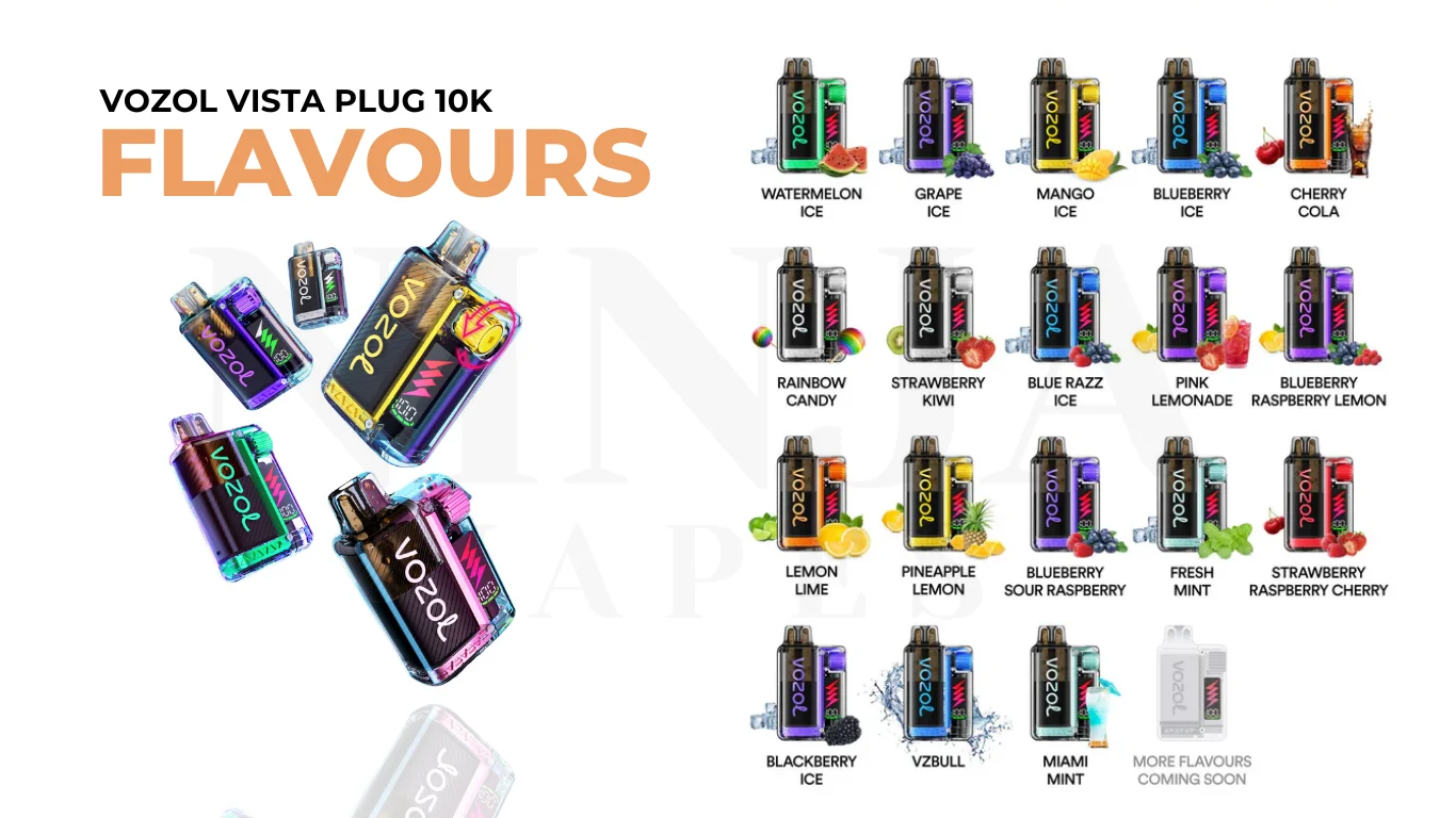 Vozol Vista Plug 10000 Puffs Flavours