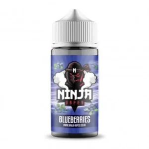 E-Liquid Blueberry 100 ml Shortfill