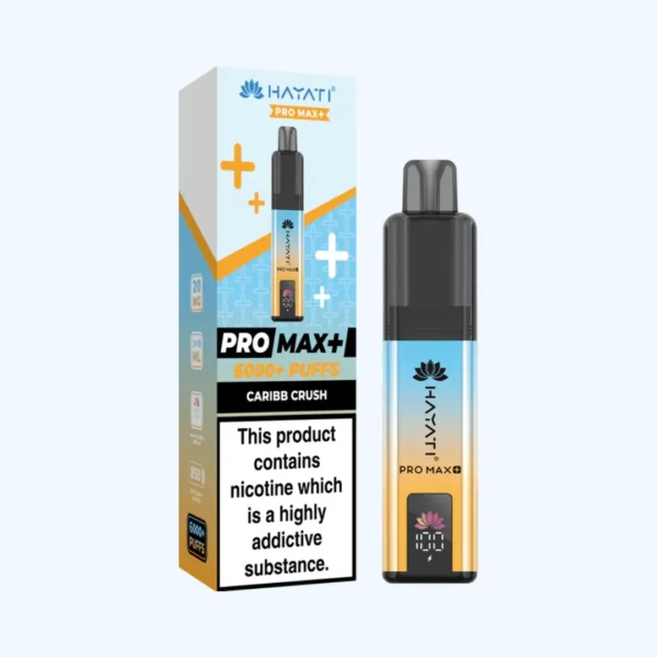 Hayati Pro Max Plus 6000 Puffs Prefilled Vape Kit | Only ?8.99 | Any 3 for ?25 - Image 27